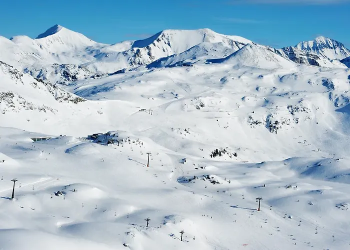 Alpina Holiday Living Ferienhaus Tweng